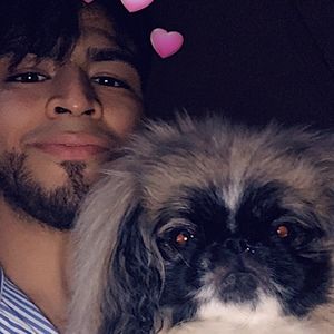 Meet your Posher, Andy